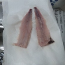 釣り魚 コノシロの酢漬け レシピ 作り方 By ゆみぽぽぽぽーん 楽天レシピ 釣り魚 コノシロの酢漬け レシピ 作り方 By ゆみぽぽぽぽーん 楽天レシピ